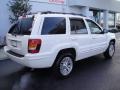 Stone White - Grand Cherokee Limited 4x4 Photo No. 3