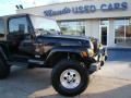 1999 Black Jeep Wrangler Sahara 4x4  photo #24