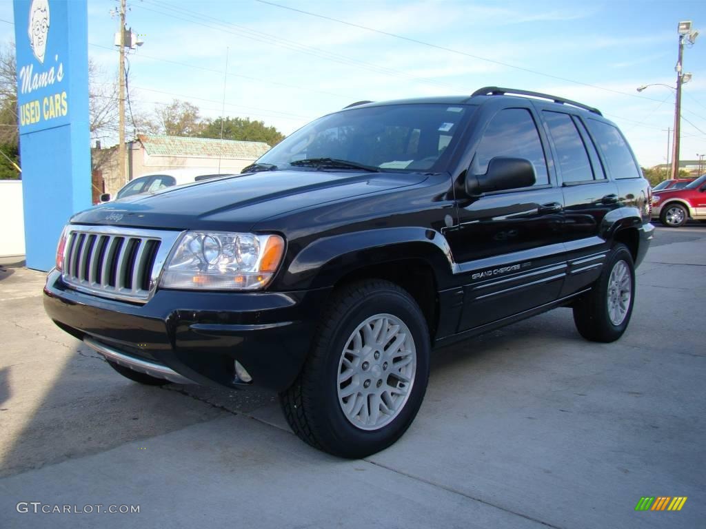 2004 Grand Cherokee Limited 4x4 - Brillant Black Crystal Pearl / Taupe photo #4