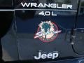 1999 Black Jeep Wrangler Sahara 4x4  photo #28