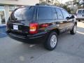 2004 Brillant Black Crystal Pearl Jeep Grand Cherokee Limited 4x4  photo #8