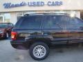 2004 Brillant Black Crystal Pearl Jeep Grand Cherokee Limited 4x4  photo #29