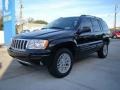 2004 Brillant Black Crystal Pearl Jeep Grand Cherokee Limited 4x4  photo #41