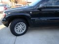 2004 Brillant Black Crystal Pearl Jeep Grand Cherokee Limited 4x4  photo #64