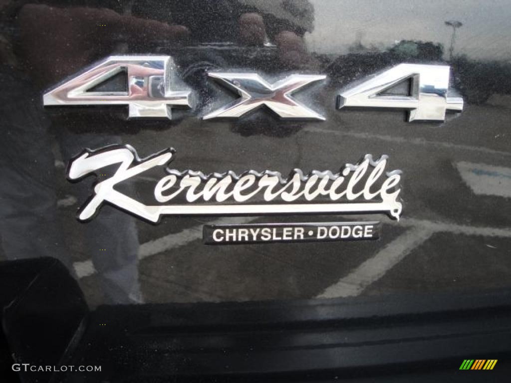 2005 Grand Cherokee Limited 4x4 - Brilliant Black Crystal Pearl / Medium Slate Gray photo #10