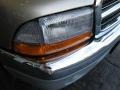 2001 Light Almond Pearl Dodge Dakota SLT Quad Cab  photo #6