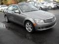 Palladium Silver Metallic 2009 Mercedes-Benz C 300 Luxury