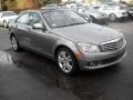 2009 Palladium Silver Metallic Mercedes-Benz C 300 Luxury  photo #1