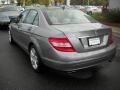 2009 Palladium Silver Metallic Mercedes-Benz C 300 Luxury  photo #18