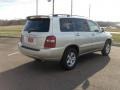 Millenium Silver Metallic - Highlander  Photo No. 5