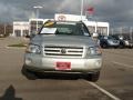 Millenium Silver Metallic - Highlander  Photo No. 8