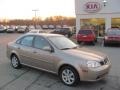 Champagne Beige Metallic 2004 Suzuki Forenza S