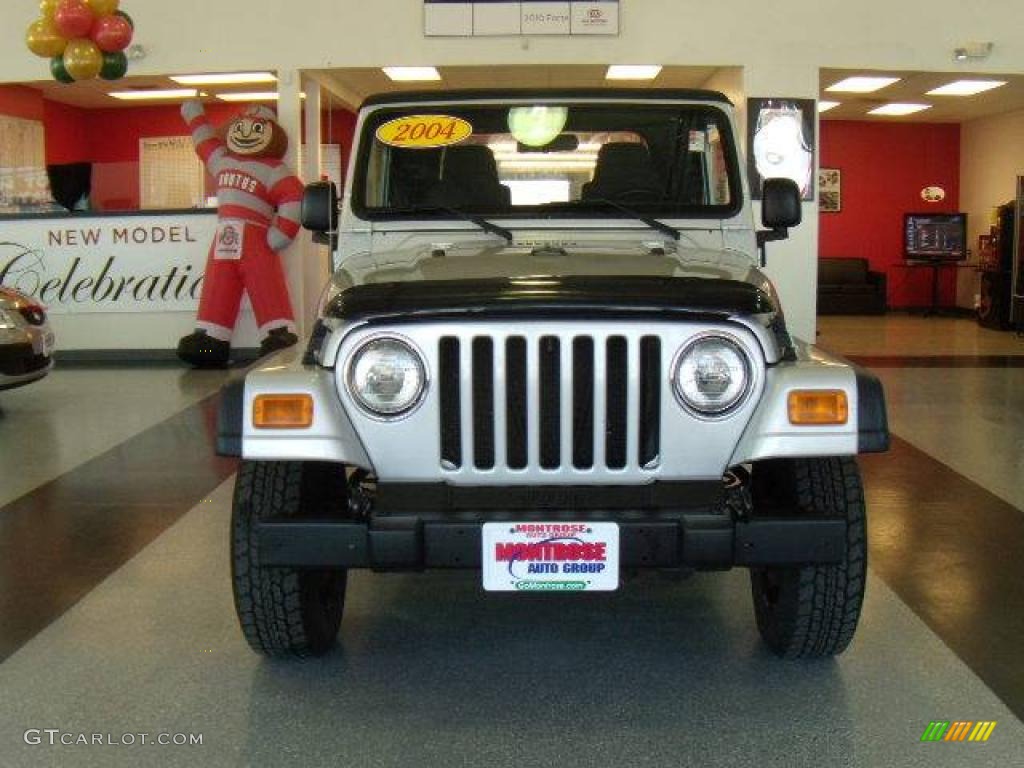 2004 Wrangler SE 4x4 - Stone White / Dark Slate Gray photo #8
