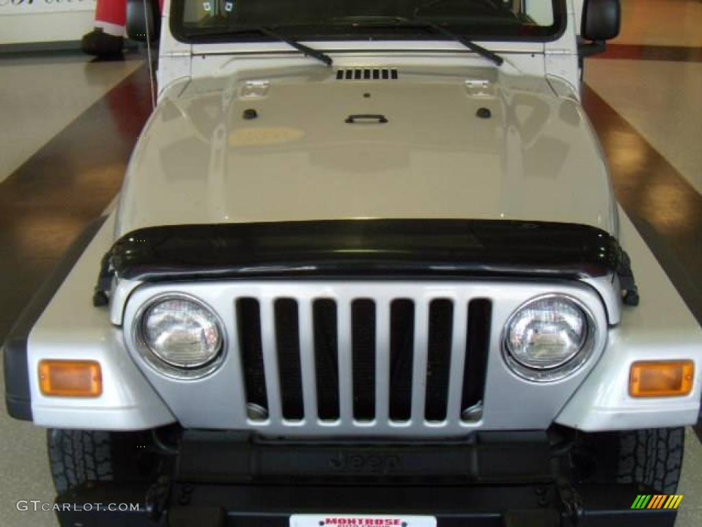 2004 Wrangler SE 4x4 - Stone White / Dark Slate Gray photo #9