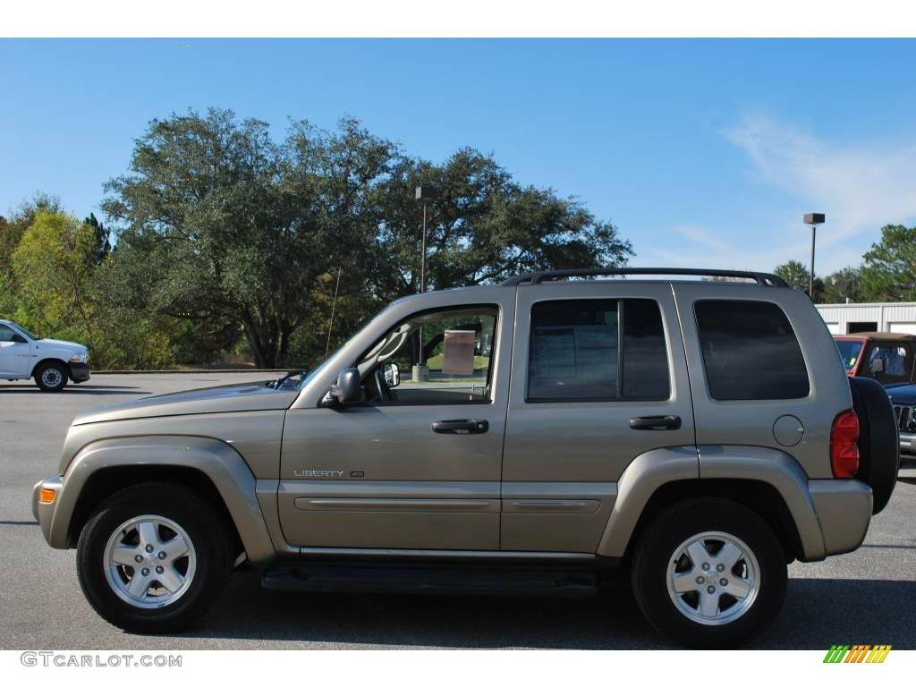 2003 Liberty Limited - Light Khaki Metallic / Light Taupe/Dark Slate Gray photo #2