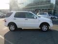 Polar White - ML 320 4Matic Photo No. 1