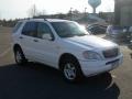 Polar White - ML 320 4Matic Photo No. 2