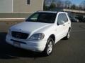 Polar White - ML 320 4Matic Photo No. 4