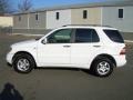 Polar White - ML 320 4Matic Photo No. 5