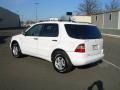 Polar White - ML 320 4Matic Photo No. 6