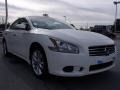Winter Frost White - Maxima 3.5 SV Photo No. 7
