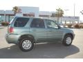 Light Tundra Metallic - Mariner Convenience Photo No. 7