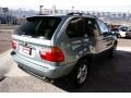 2002 Gray Green Metallic BMW X5 3.0i  photo #3