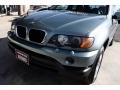Gray Green Metallic - X5 3.0i Photo No. 18