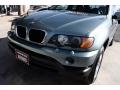 2002 Gray Green Metallic BMW X5 3.0i  photo #18