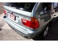 2002 Gray Green Metallic BMW X5 3.0i  photo #20