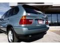 2002 Gray Green Metallic BMW X5 3.0i  photo #21