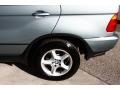 Gray Green Metallic - X5 3.0i Photo No. 24