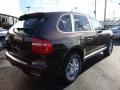 2010 Macadamia Metallic Porsche Cayenne Tiptronic  photo #7