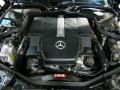 Black - CLS 500 Photo No. 13