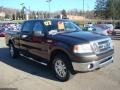 Dark Stone Metallic - F150 XLT SuperCrew 4x4 Photo No. 6