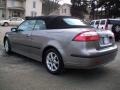 Steel Gray Metallic - 9-3 2.0T Convertible Photo No. 7