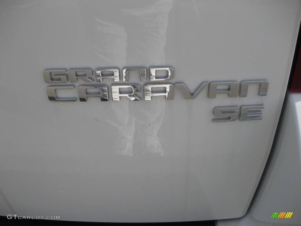 2010 Grand Caravan SE - Stone White / Dark Slate Gray/Light Shale photo #7