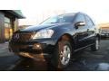 Black - ML 350 4Matic Photo No. 1
