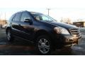 Black - ML 350 4Matic Photo No. 2