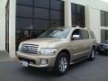 Kashmir - QX 56 4WD Photo No. 1