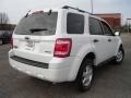 2009 White Suede Ford Escape XLT V6 4WD  photo #5