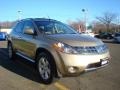 2006 Chardonnay Metallic Nissan Murano SL AWD  photo #13