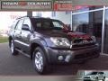 Galactic Gray Mica - 4Runner SR5 Photo No. 1