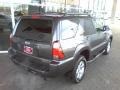 Galactic Gray Mica - 4Runner SR5 Photo No. 16