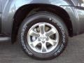 Galactic Gray Mica - 4Runner SR5 Photo No. 22