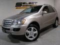 2007 Pewter Metallic Mercedes-Benz ML 350 4Matic  photo #1