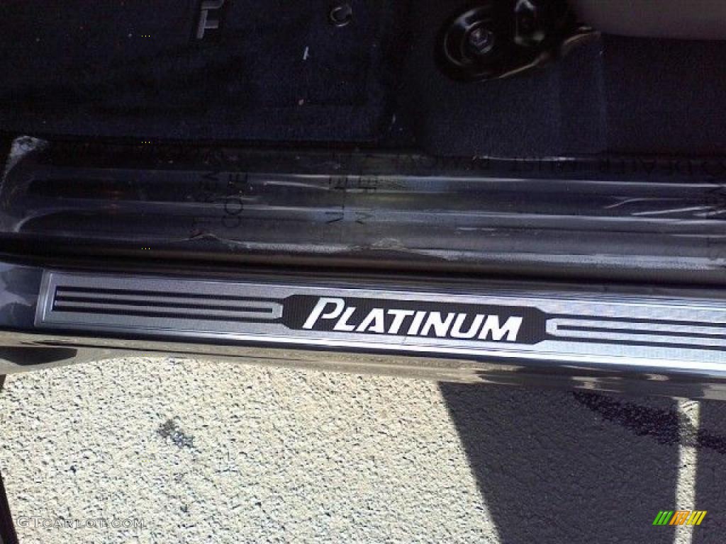 2010 Tundra Platinum CrewMax - Slate Gray Metallic / Black photo #19