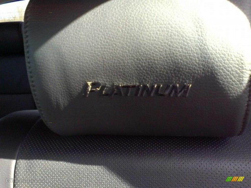 2010 Tundra Platinum CrewMax - Slate Gray Metallic / Black photo #21