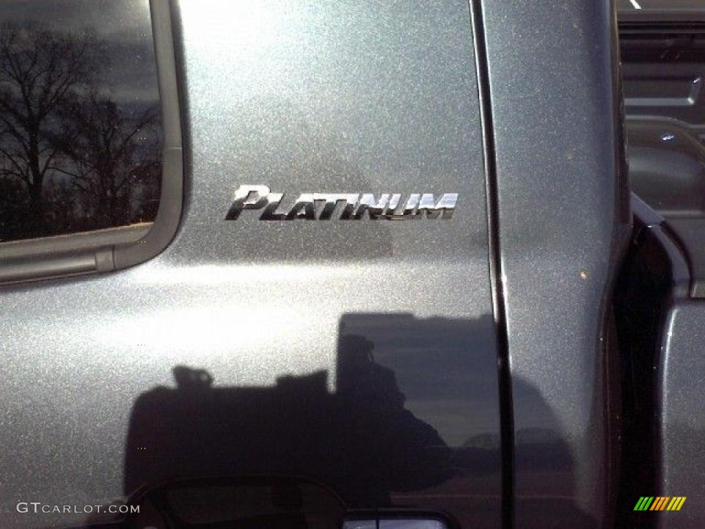 2010 Tundra Platinum CrewMax - Slate Gray Metallic / Black photo #26