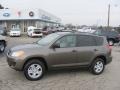 Pyrite Mica - RAV4 4WD Photo No. 1